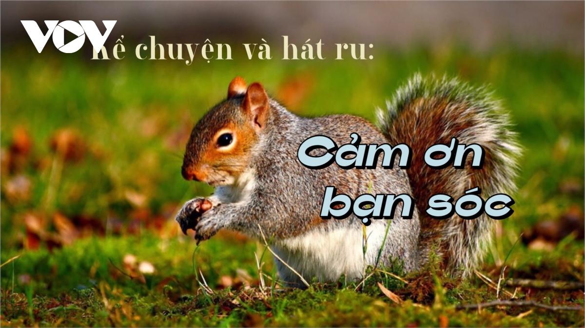 Truyện "Cảm ơn bạn Sóc"